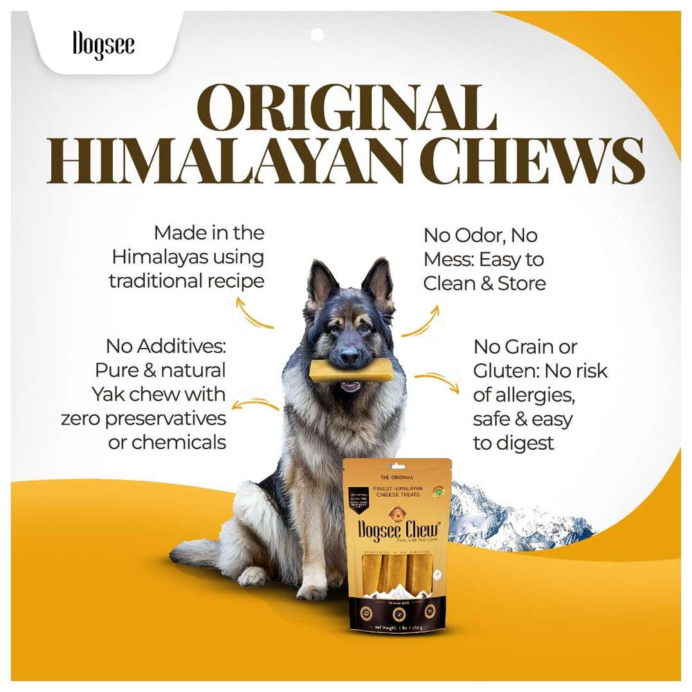Dogsee chew on living room rug showing odorless, mess-free indoor use