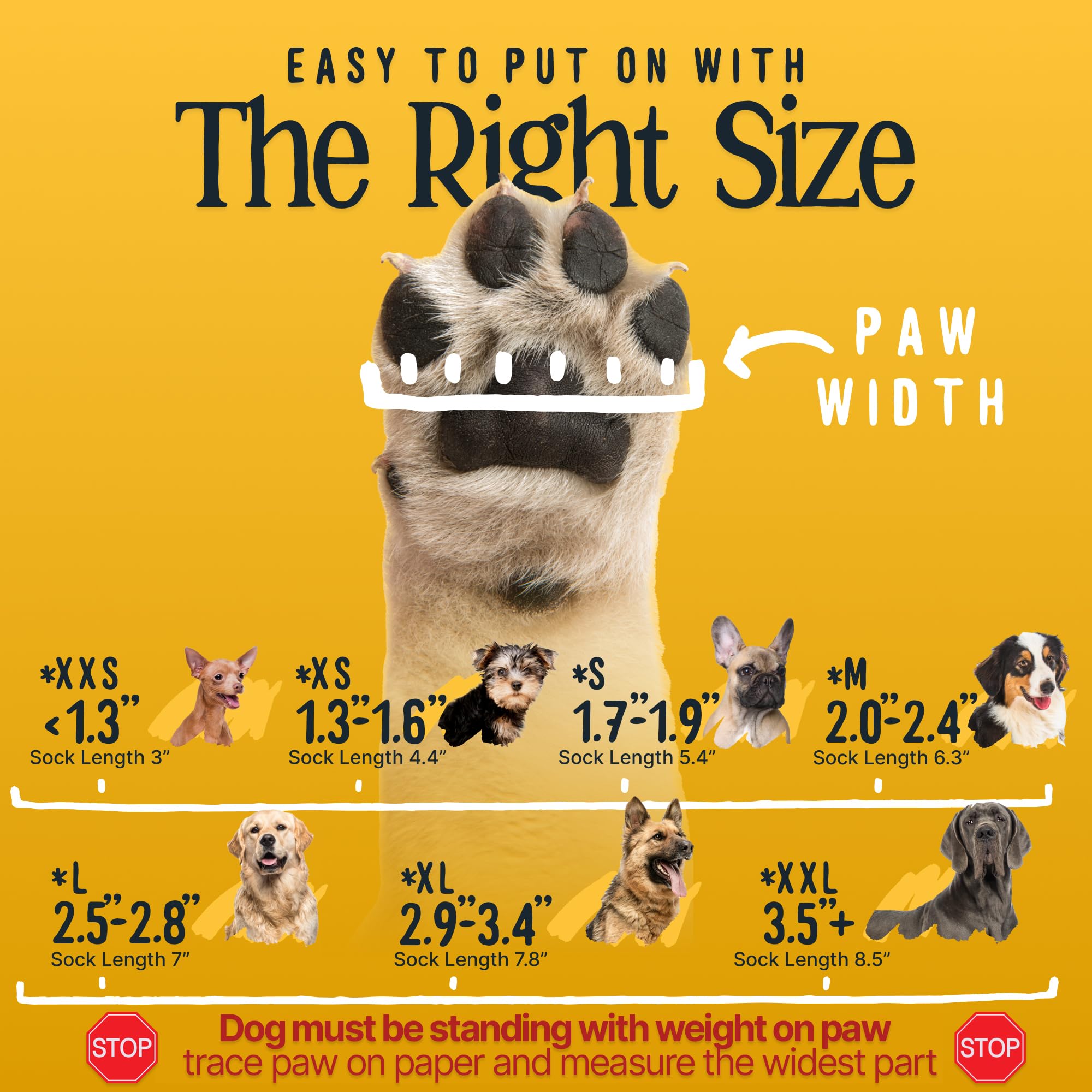 DOK paw measurement guide showing how to size for a medium fit