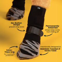 DOK TigerToes worn on large dog paw demonstrating secure fit