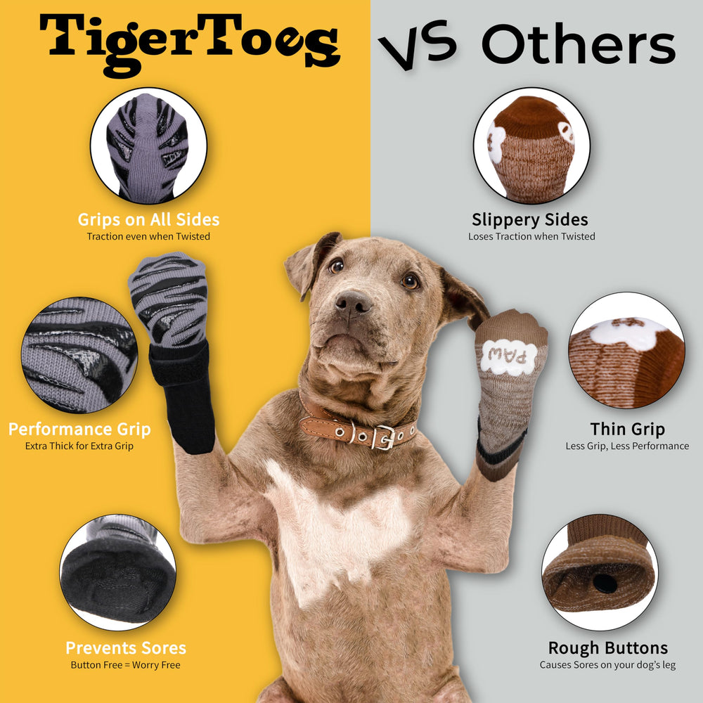 DOK TigerToes on a senior dog giving safer indoor mobility