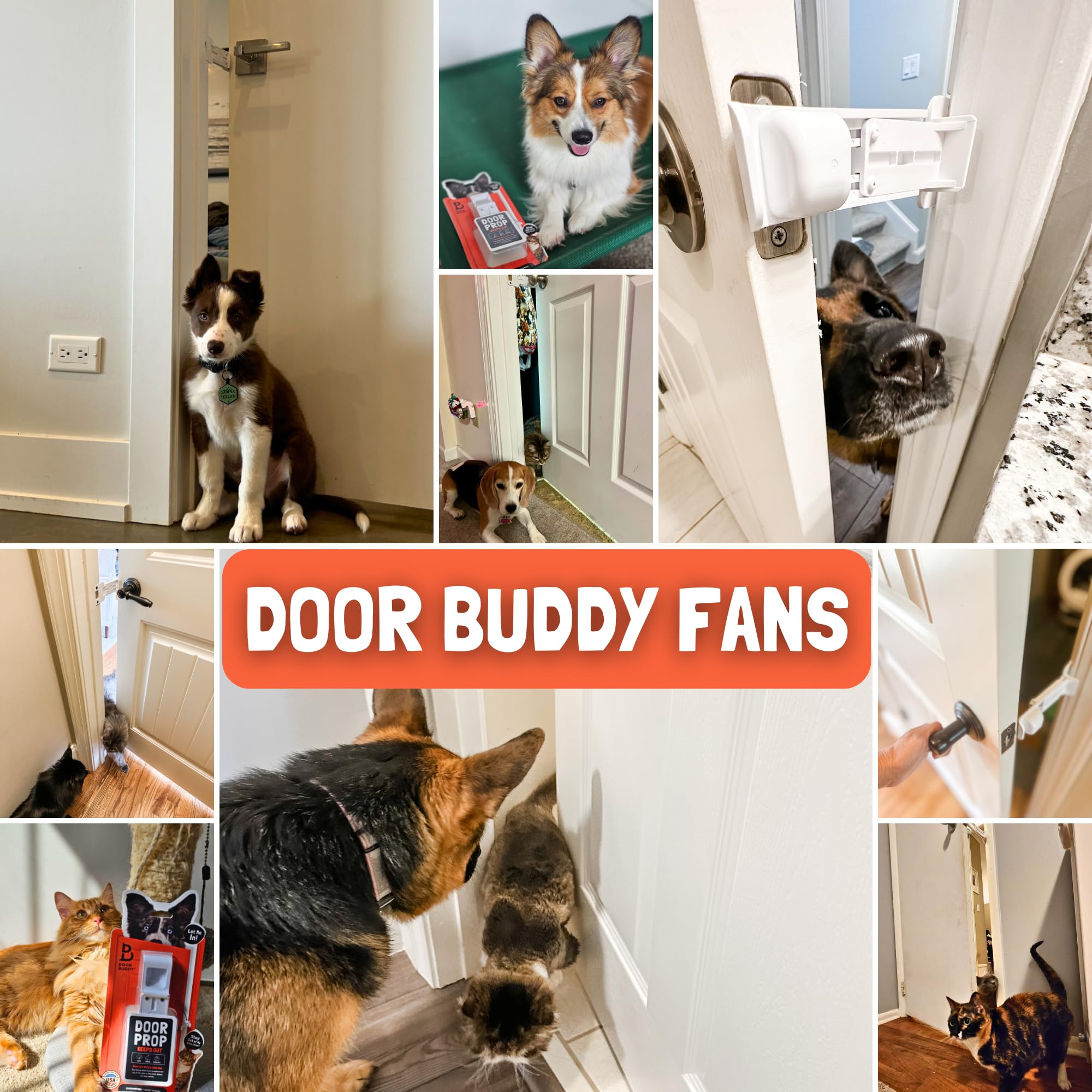 Door Buddy in a kitchen door scene showing tidy non-permanent pet solution benefit