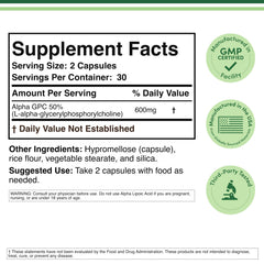 Double Wood Alpha GPC single capsule closeup highlighting smooth texture and easy swallowing benefit