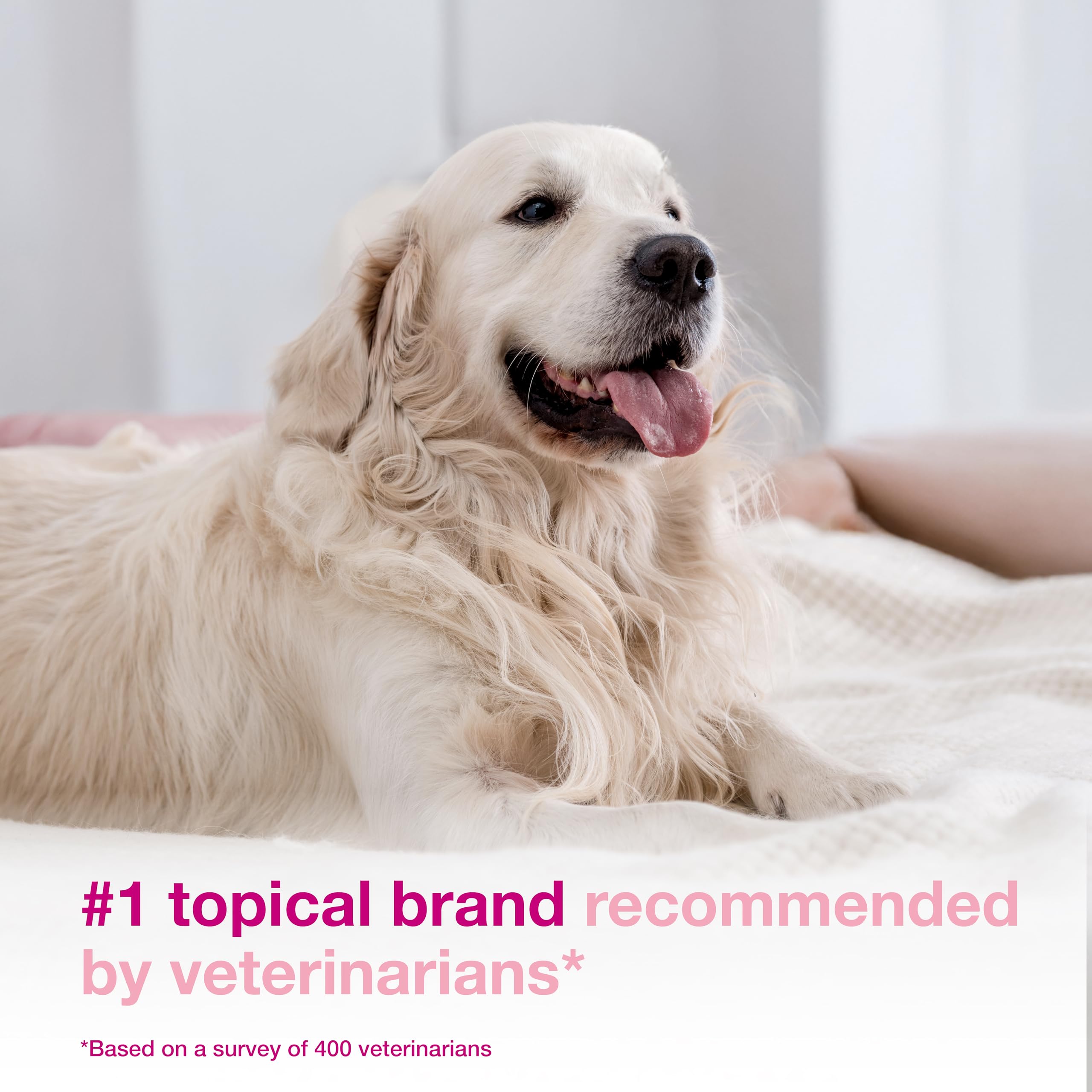 Douxo being applied to a dog showing quick, leave-on itch relief