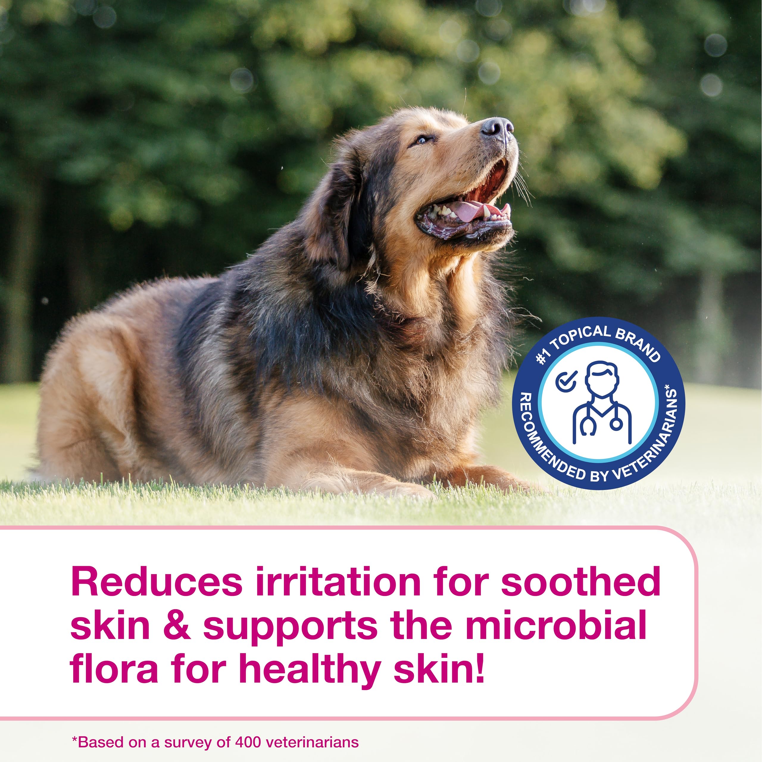 Before and after pet coat snapshot showing improved comfort and condition