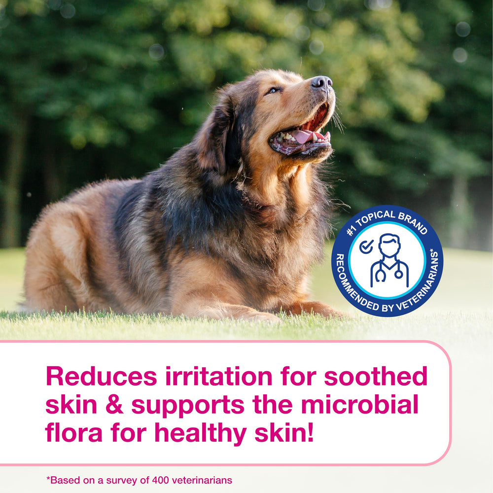 Before and after pet coat snapshot showing improved comfort and condition