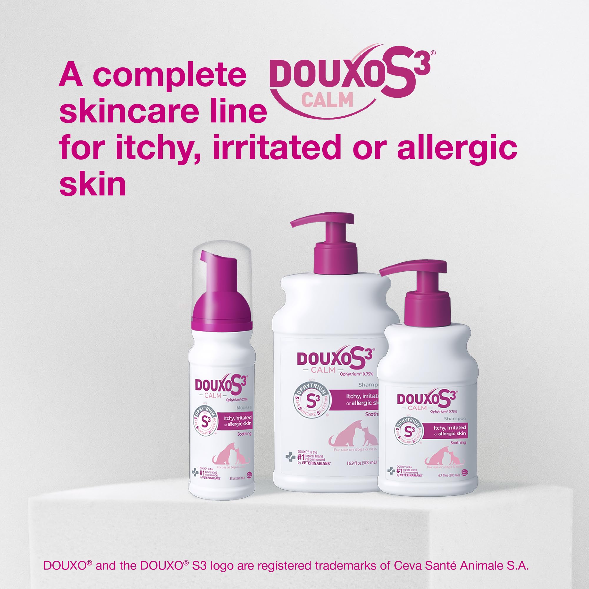 Mousse dispensed on palm showing Douxo ease of use and targeted care