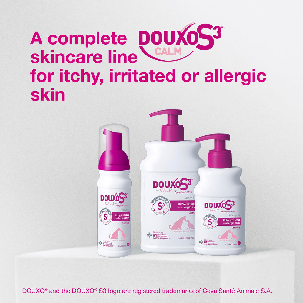 Mousse dispensed on palm showing Douxo ease of use and targeted care