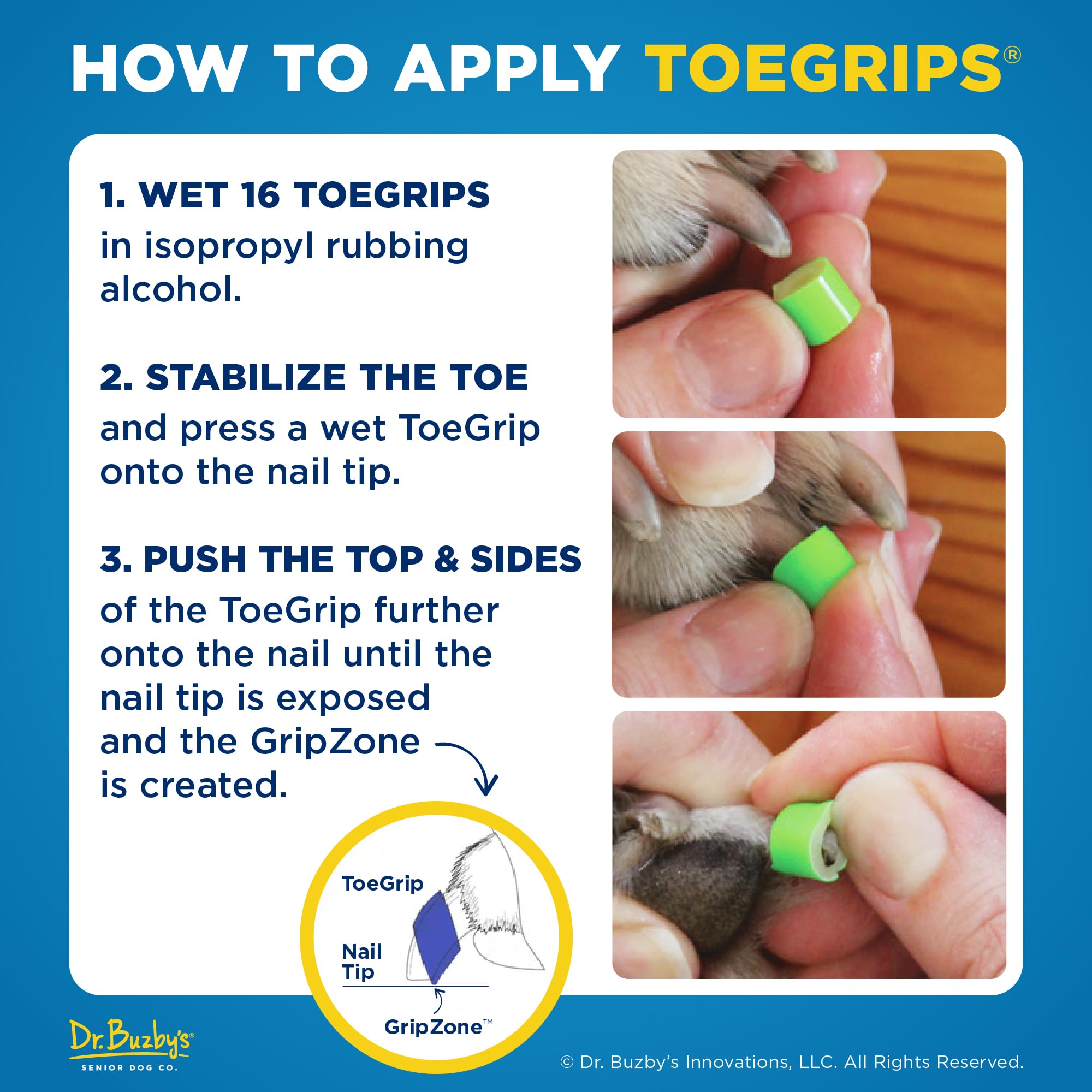Dr. Buzby's dog walking on hardwood with grips for safer confident steps