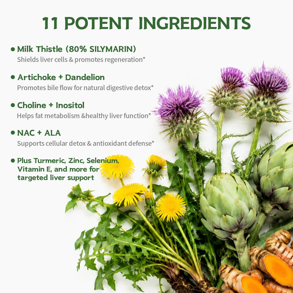 DR. CROWN milk thistle extract texture detail showing fine powder purity