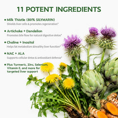 DR. CROWN milk thistle extract texture detail showing fine powder purity