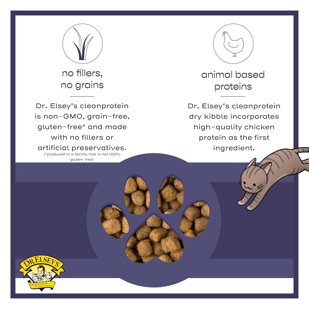 Dr. Elsey's cat eating cleanprotein kibble showing appetite and satisfaction