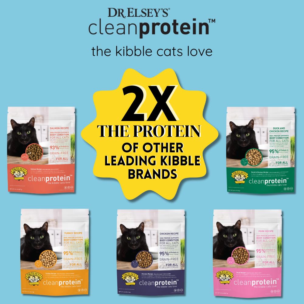 Dr. Elsey's bag next to ruler for kibble size and scale clarity
