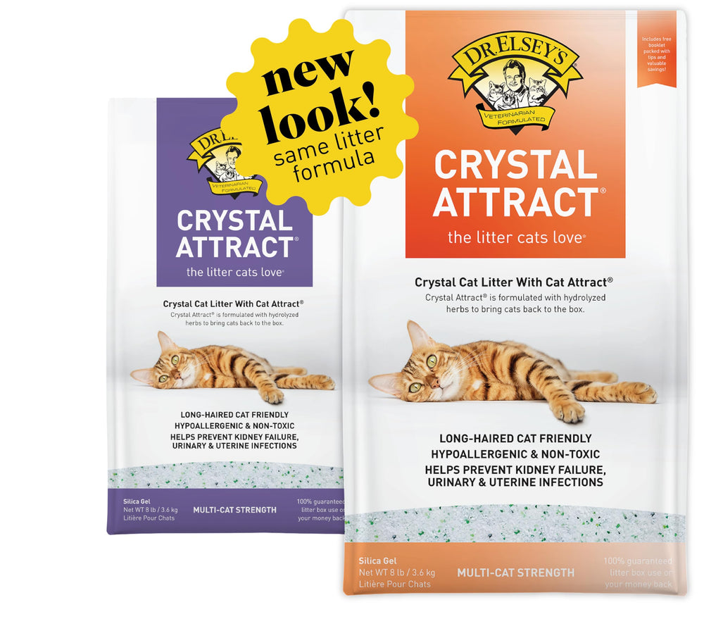 Dr. Elsey's front packaging showing 8 lb bag and product name for clear identification