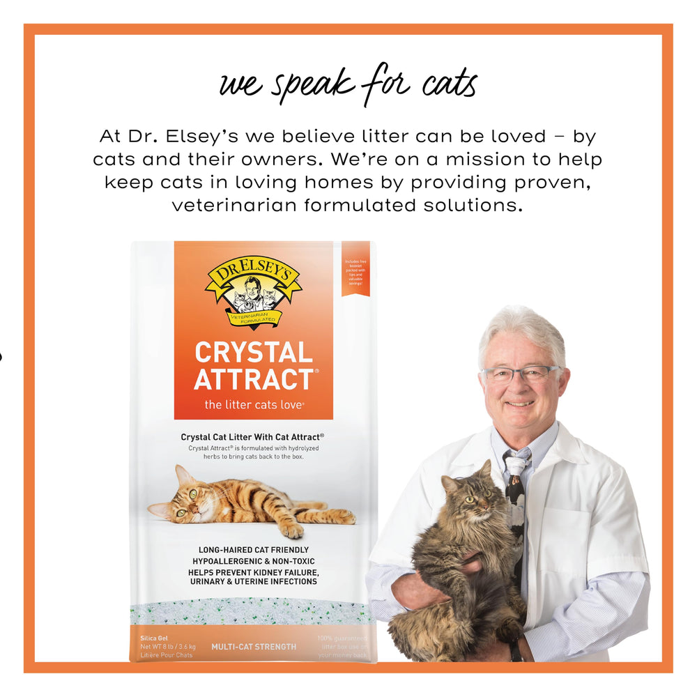 Dr. Elsey's clean floor beside litter box illustrating low tracking and tidier home benefit