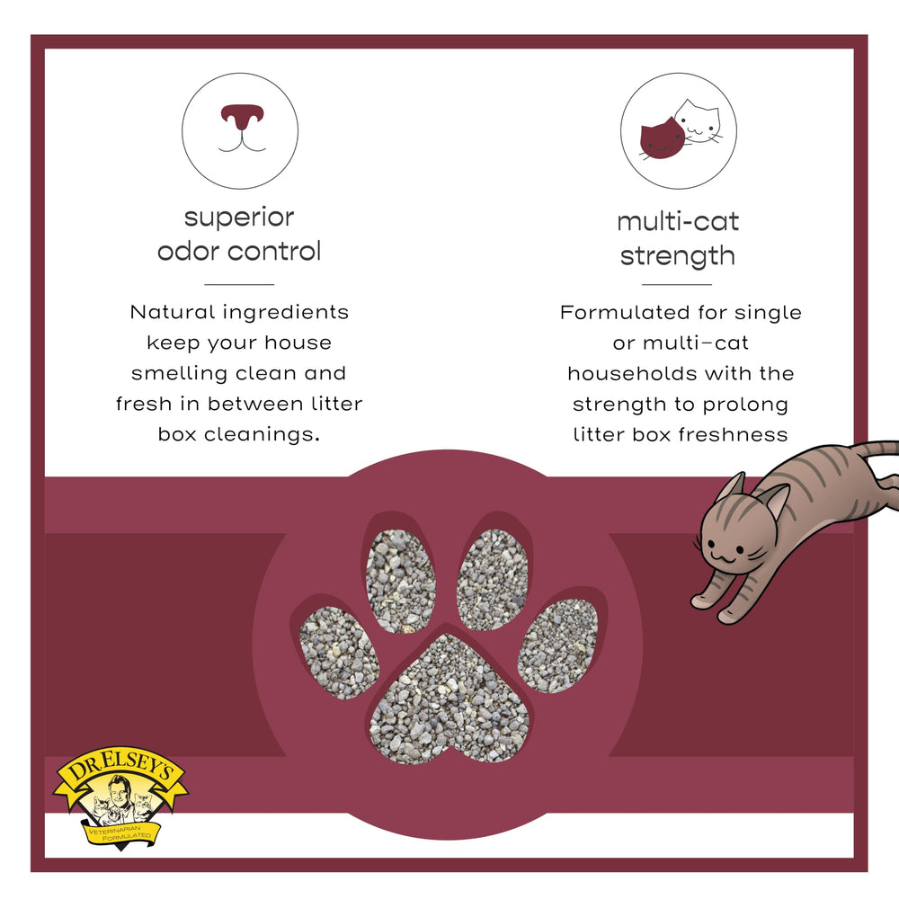 Dr. Elsey's litter in a sifting litter box showing compatibility with mechanical systems