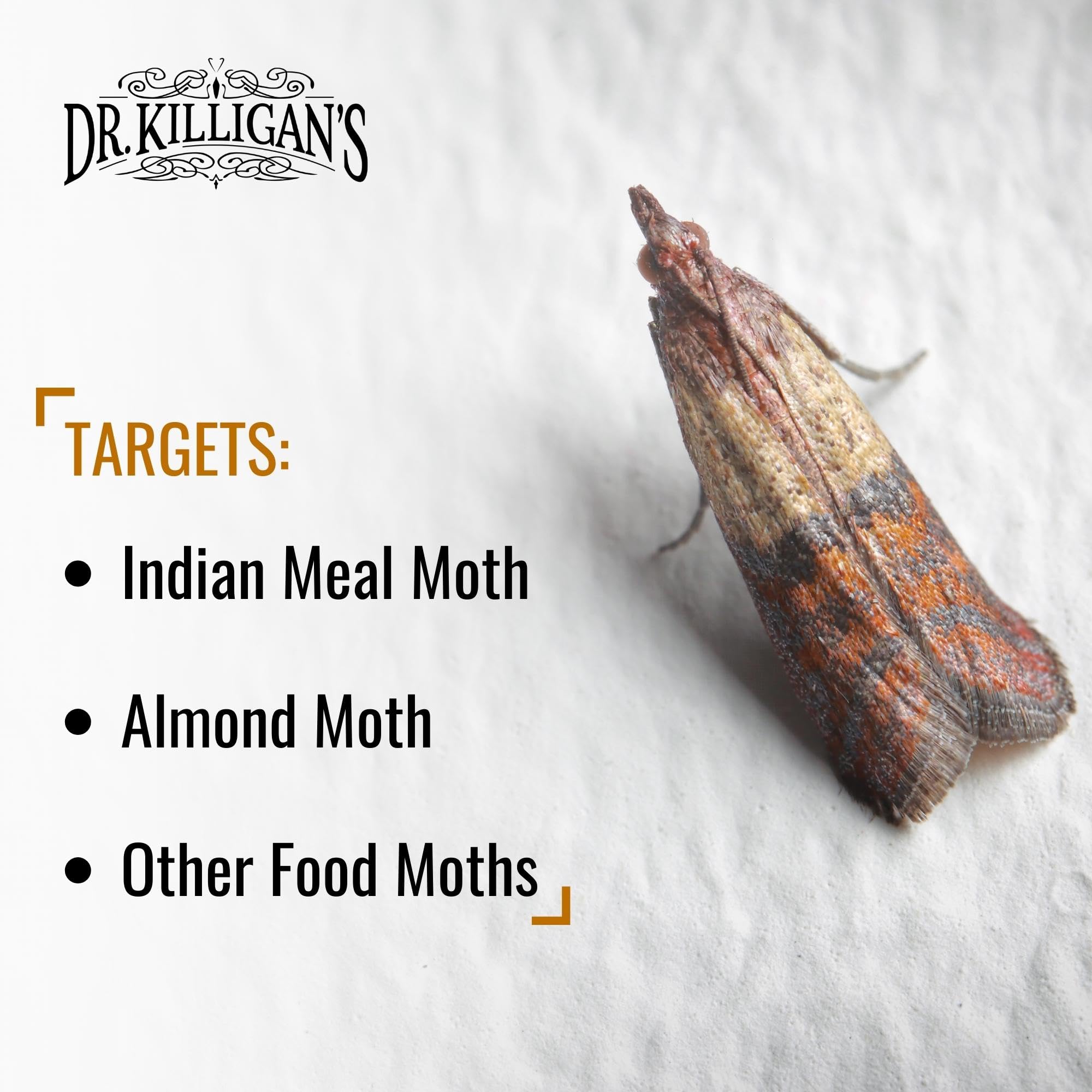 Dr. Killigan's blue pheromone stripe close-up indicating enhanced moth attraction