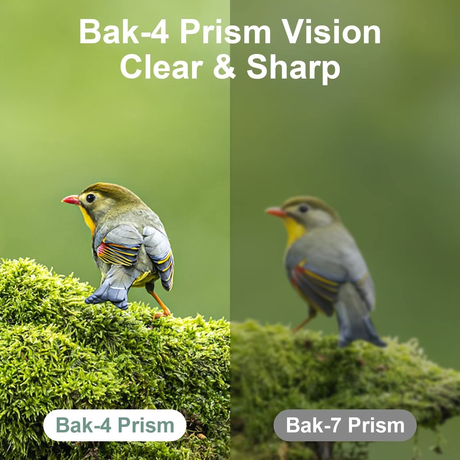 Dranbol close-up of lens coatings emphasizing brighter, truer colors