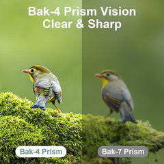 Dranbol close-up of lens coatings emphasizing brighter, truer colors