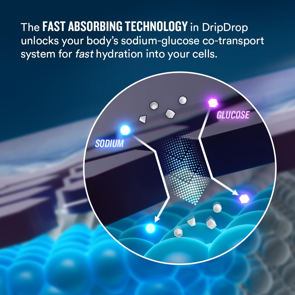athlete drinking DripDrop Berry after workout to quickly restore electrolytes