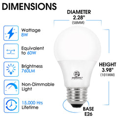 E ENERGETIC LIGHTING close-up of A19 bulb glass highlighting build quality