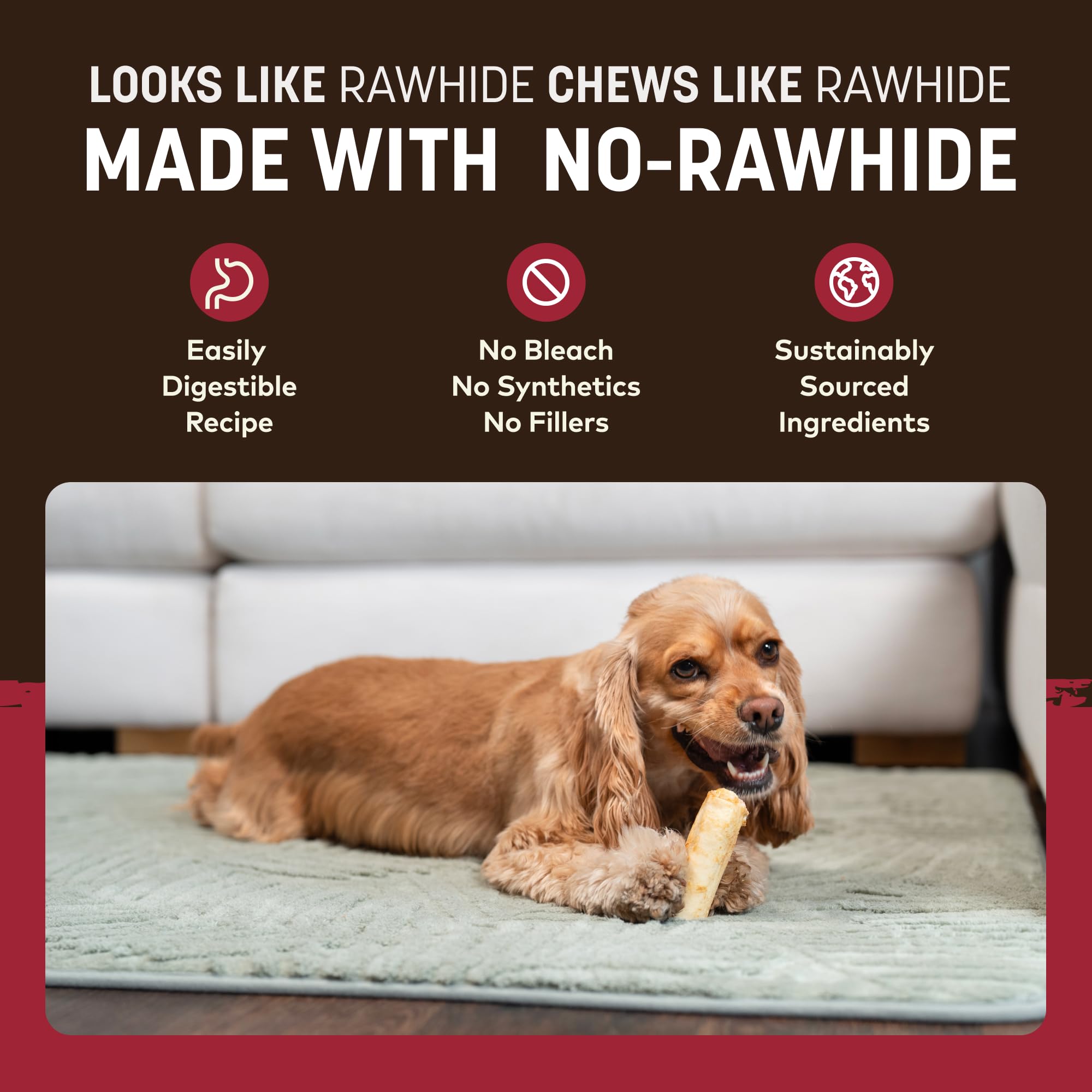 Earth Animal small dog chewing a roll delivering long-lasting engagement