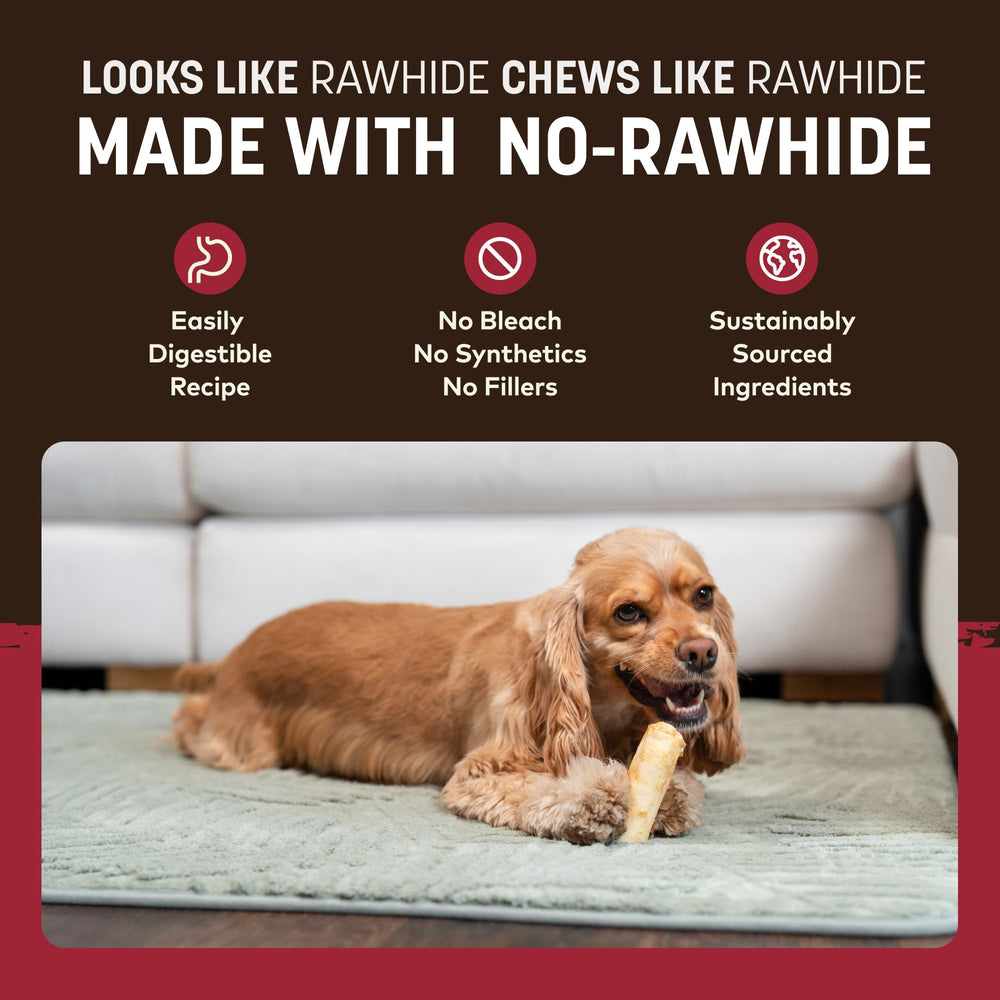 Earth Animal small dog chewing a roll delivering long-lasting engagement