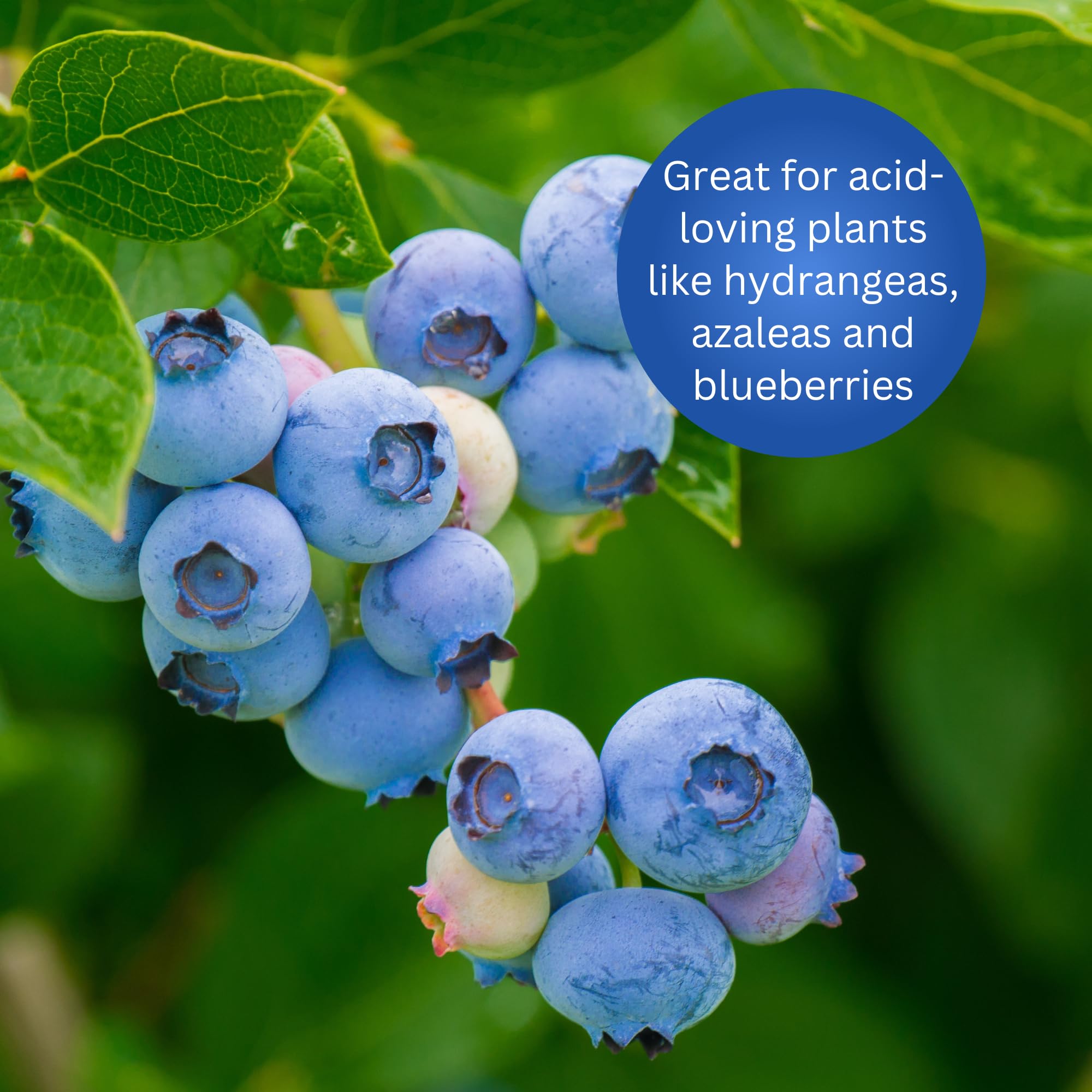 Earth Science storage and safety labeling promoting safe use around people and pets