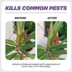 Earth's Ally being sprayed on a houseplant to control pests