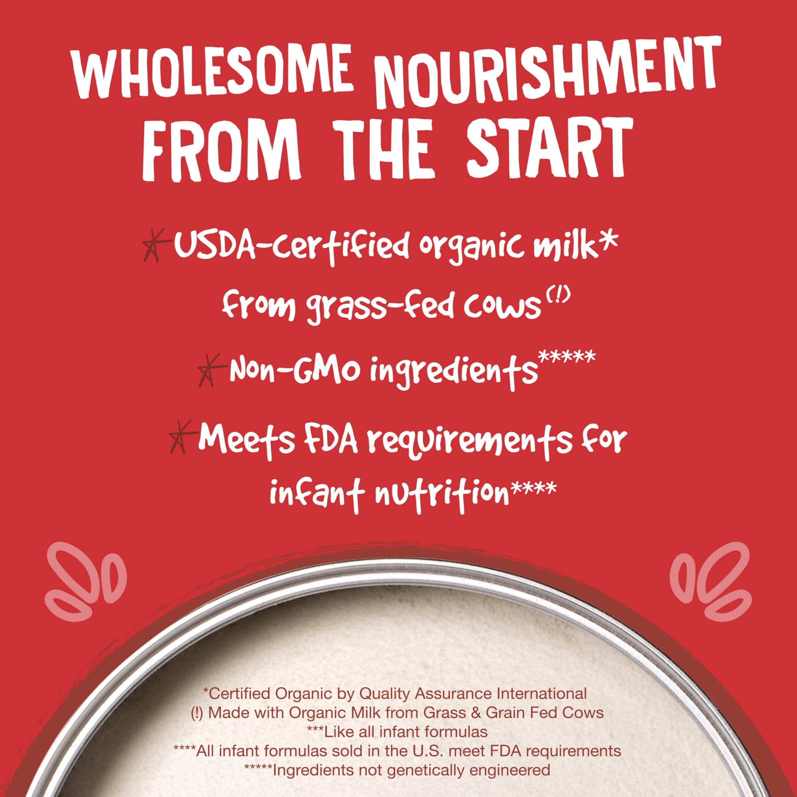 Earth's Best ingredient close-up highlighting iron, DHA, ARA benefits