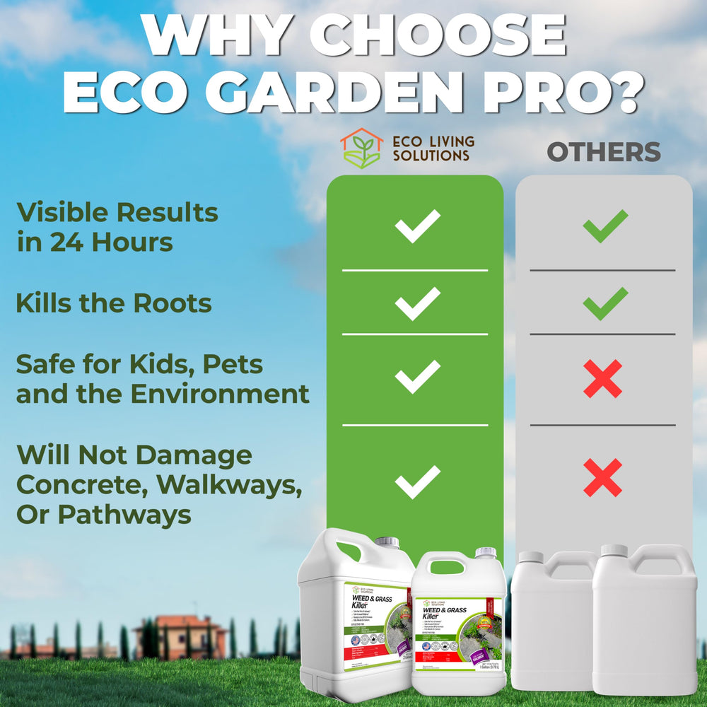 ECO Garden PRO treated driveway before and after showing weed control