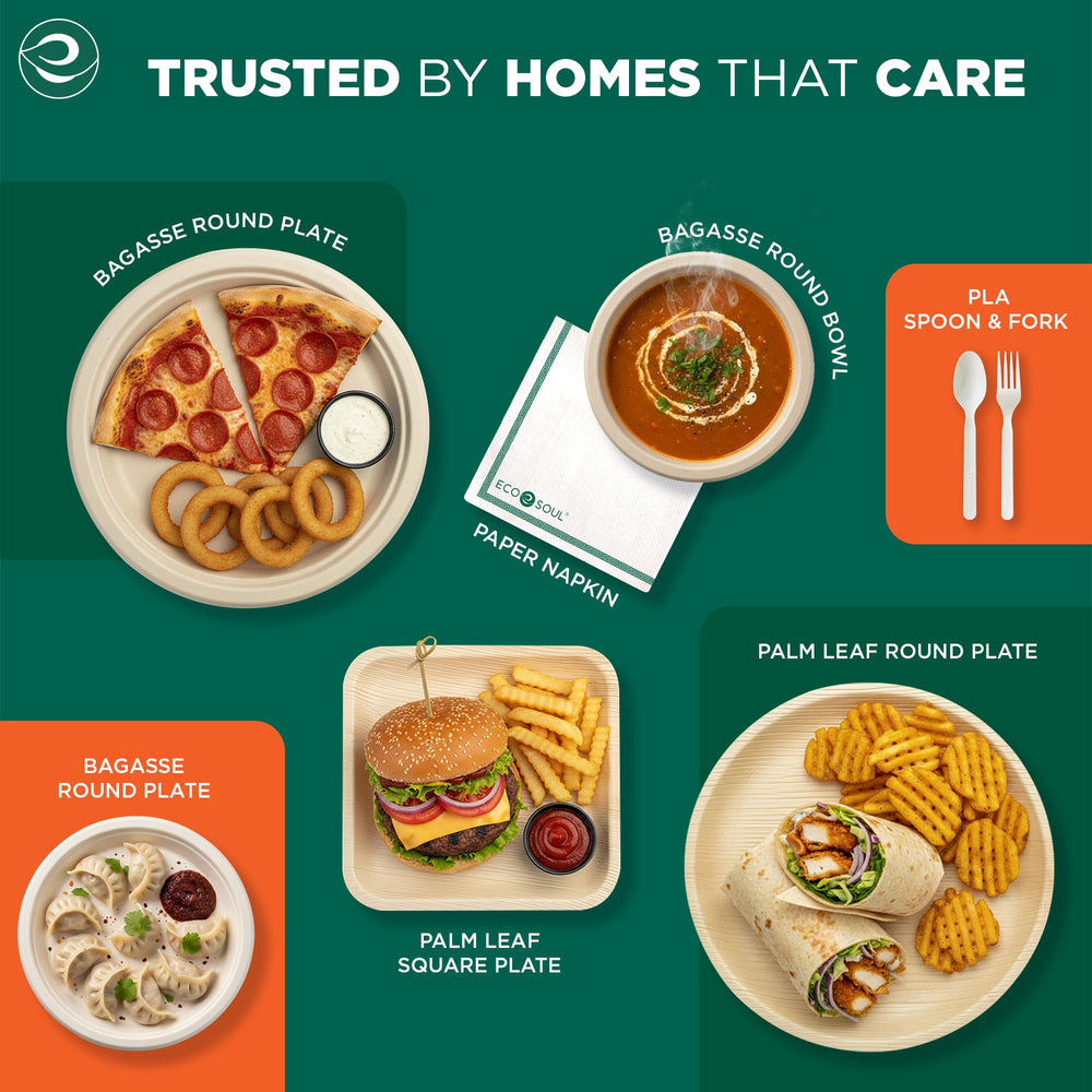 ECO SOUL plates at a picnic demonstrating eco-friendly disposable convenience