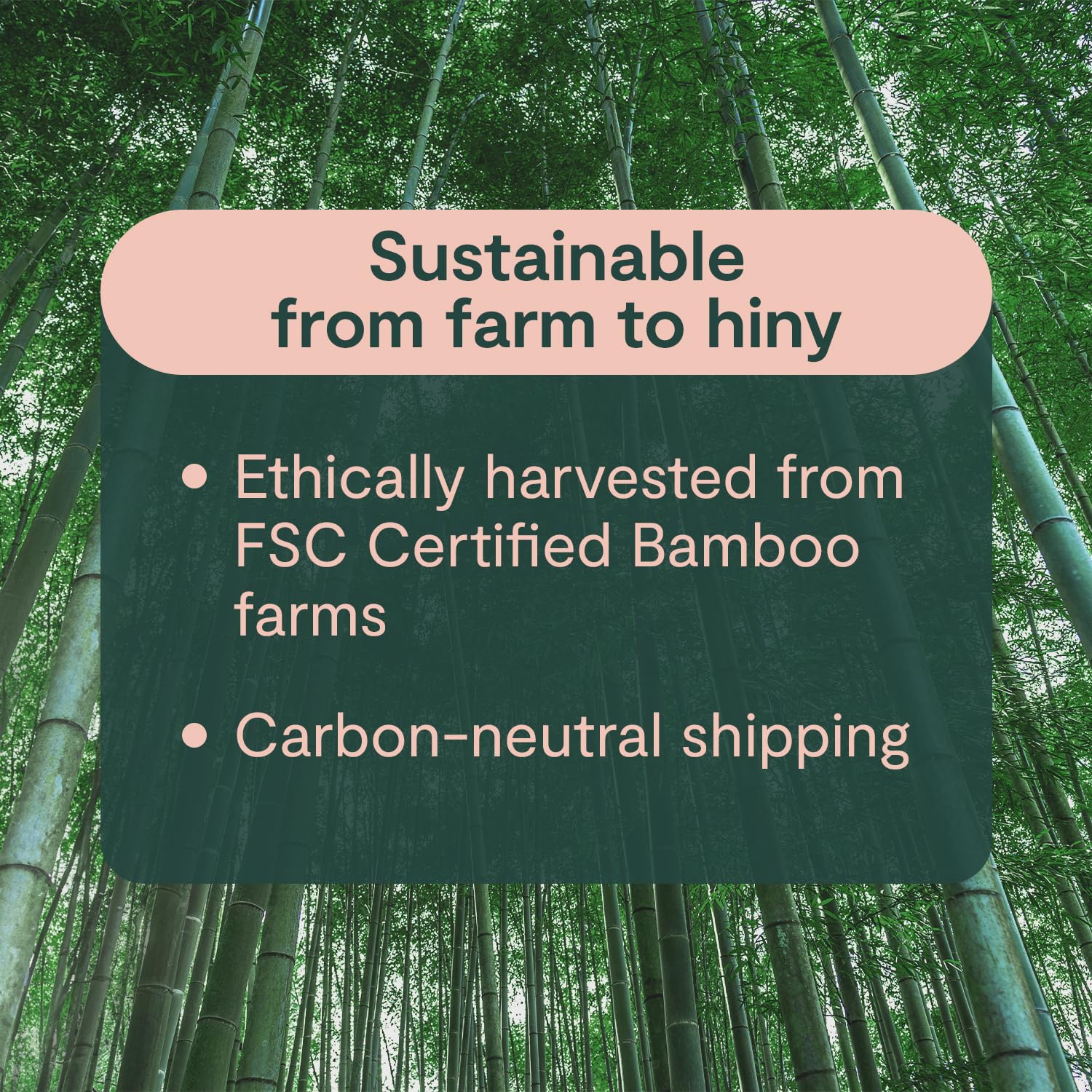 ecoHiny sheet stack showing 350 sheets per roll for long use