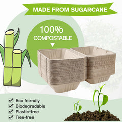 ECOLipak close-up of sugarcane fiber texture showing durable compostable benefit