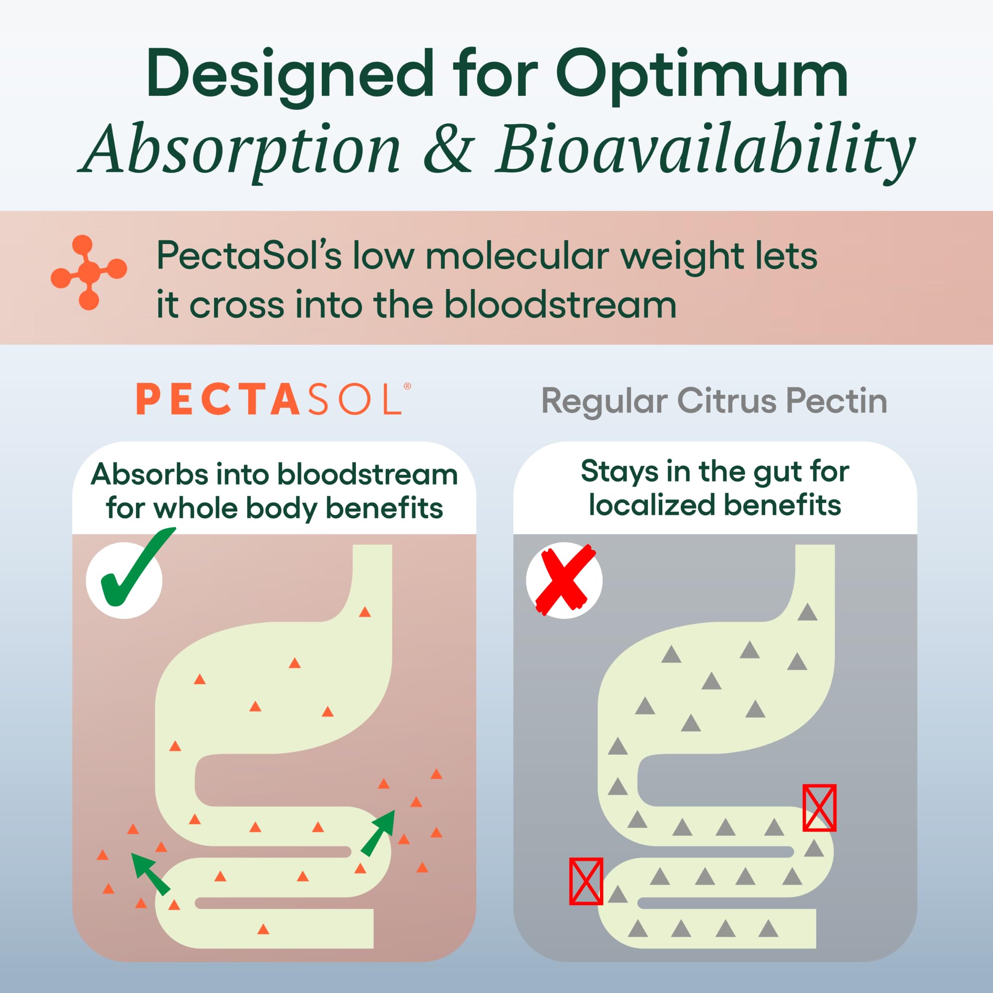 EcoNugenics PectaSol label ingredient panel close-up, transparent formulation details