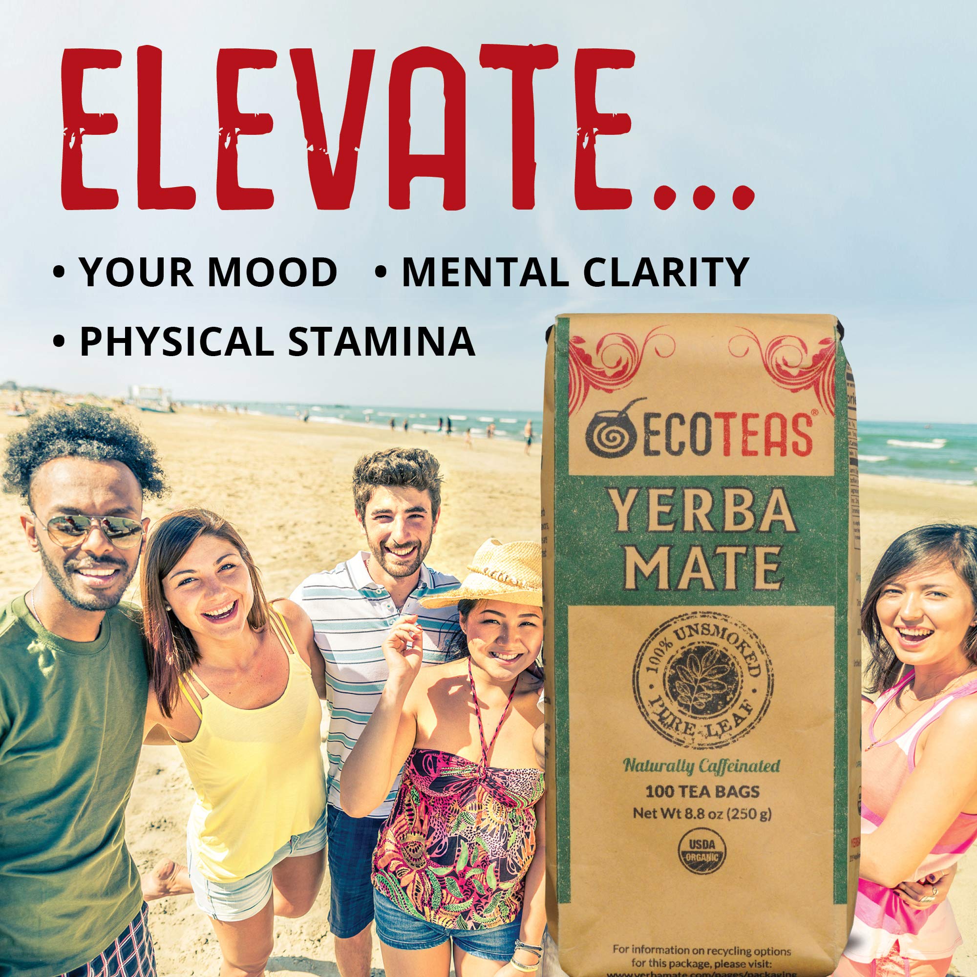 ECOTEAS farm harvest of organic yerba mate leaves showing sustainable sourcing