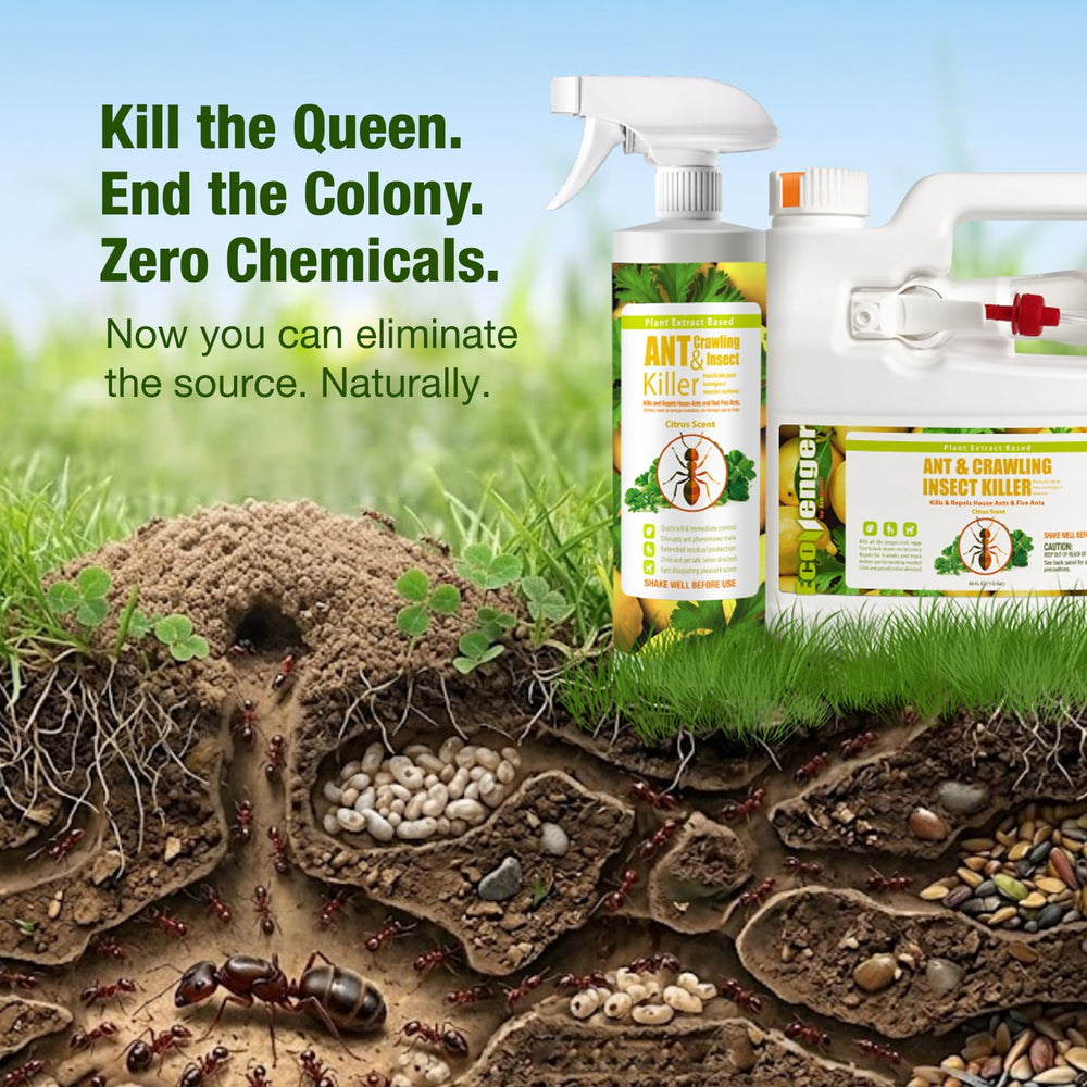 EcoVenger being applied to a fire ant mound for fast colony control