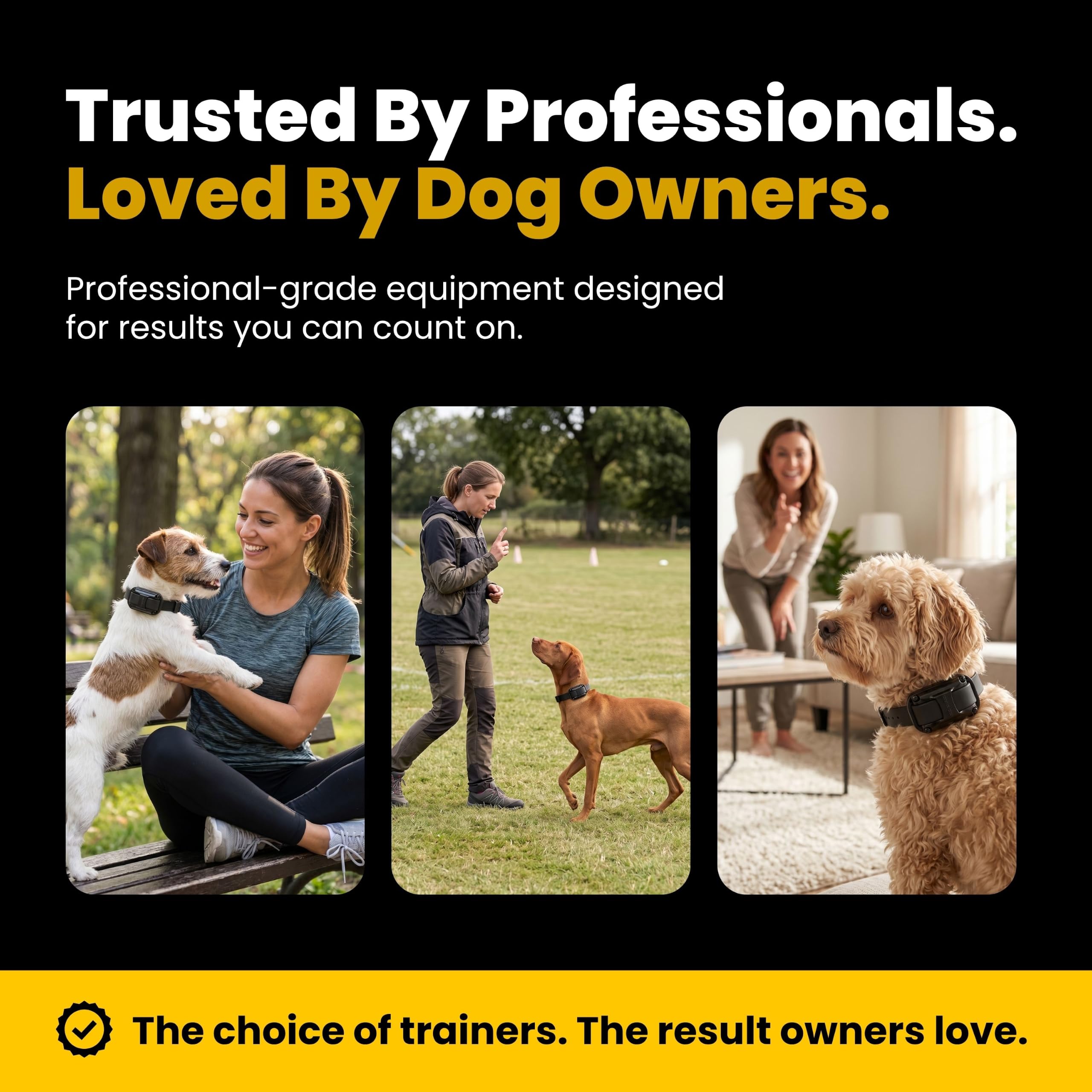 Educator LED night visibility on collar making the dog easy to spot during low-light walks