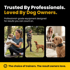 Educator LED night visibility on collar making the dog easy to spot during low-light walks