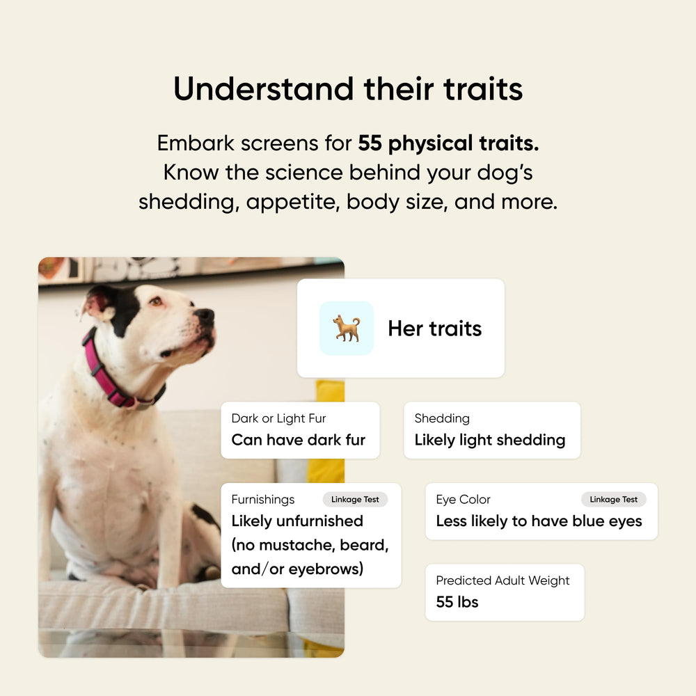 Happy dog with owner outdoors illustrating Embark insights guiding better care