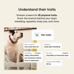 Happy dog with owner outdoors illustrating Embark insights guiding better care