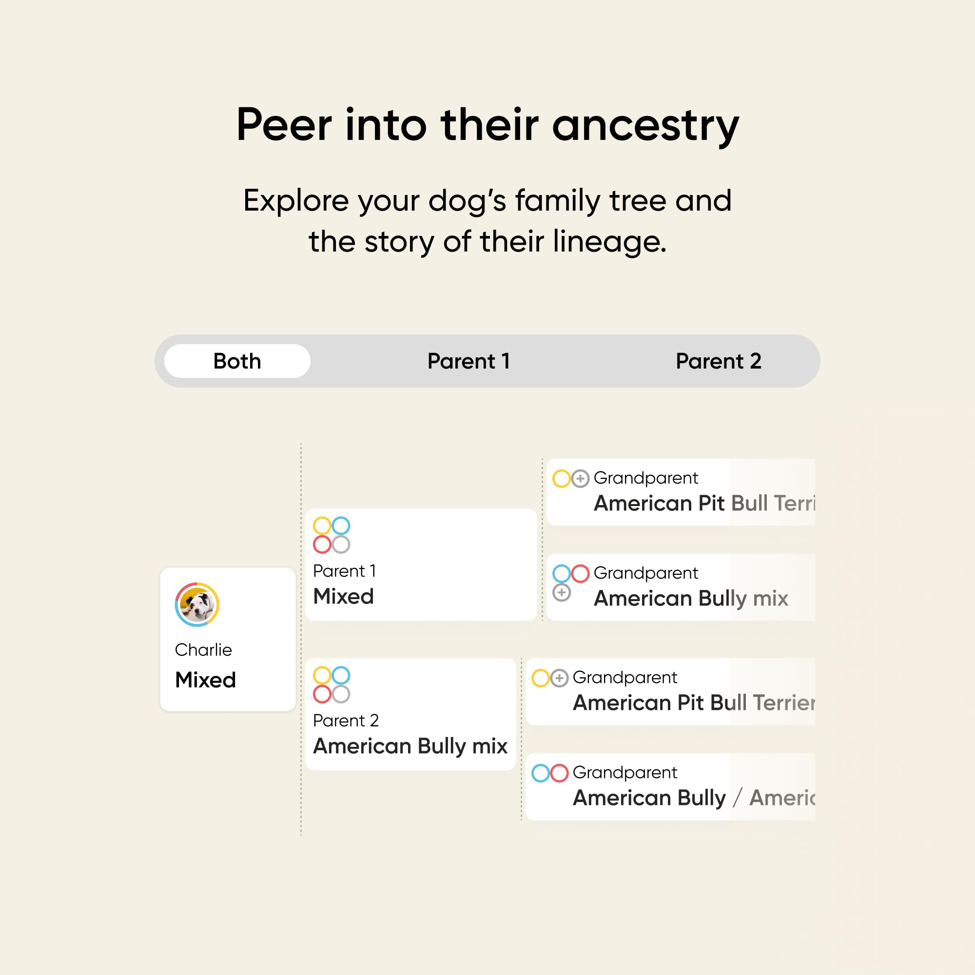 Embark health report page close-up with condition summaries and vet guidance