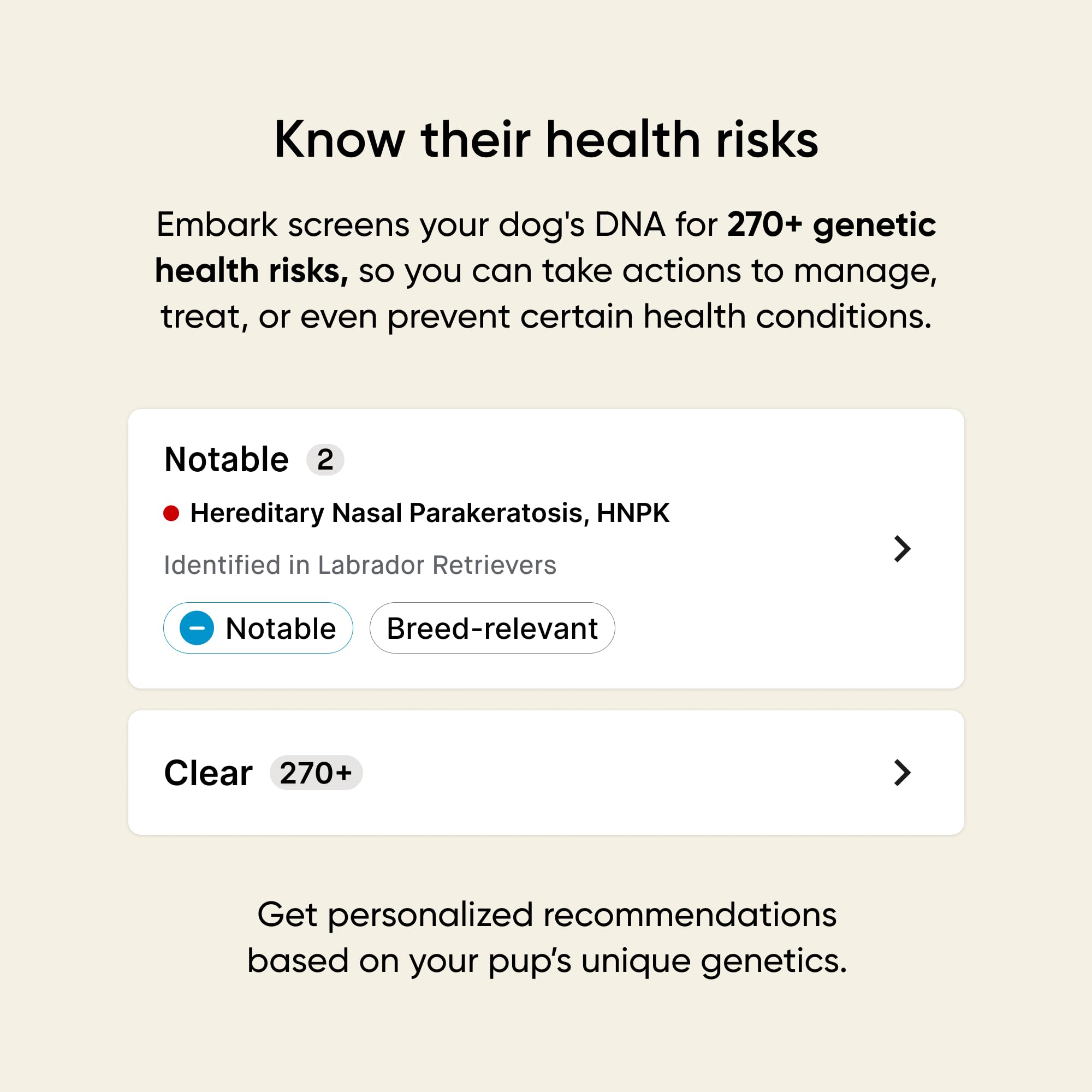 Embark results dashboard on tablet showing breed breakdown and health insights