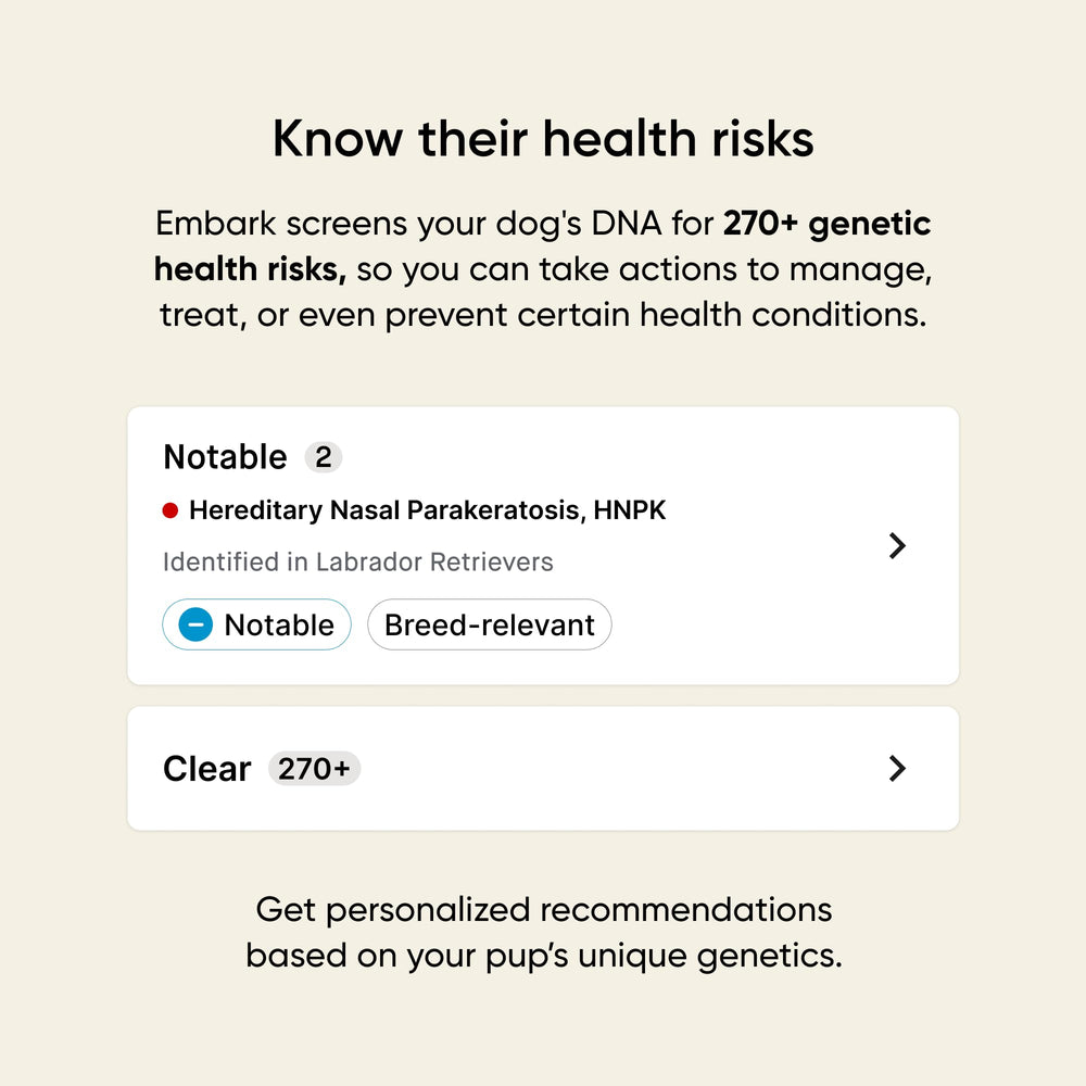 Embark results dashboard on tablet showing breed breakdown and health insights