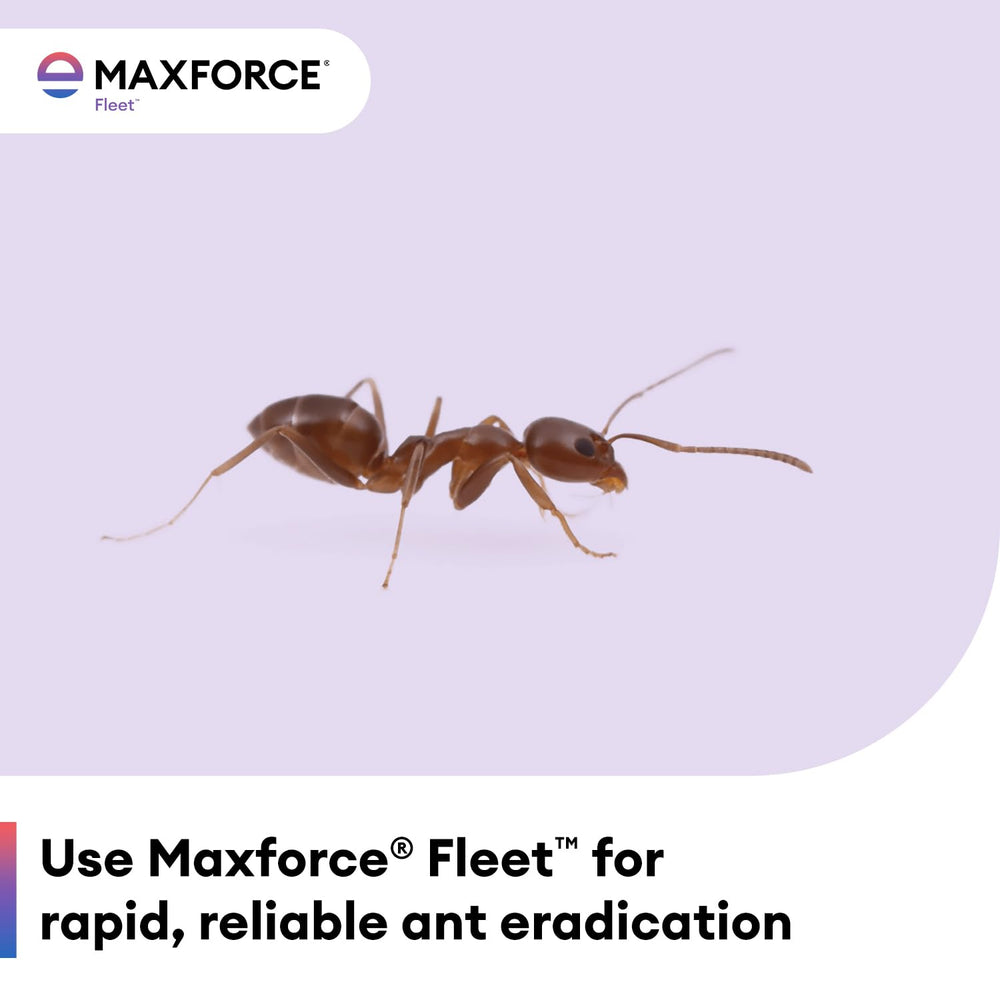 Envu Maxforce Fleet label highlighting fipronil active ingredient and instructions