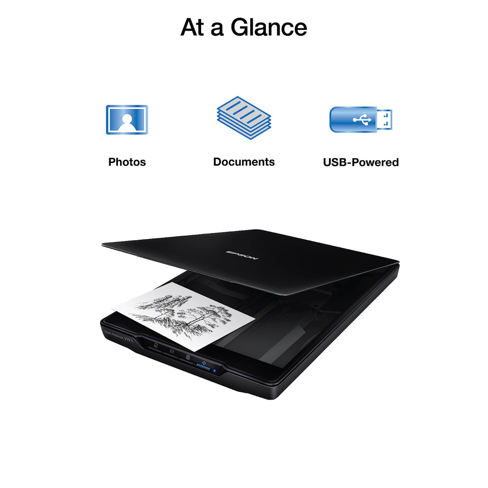 Epson V19 II flatbed open displaying removable lid for scanning books and bulky items
