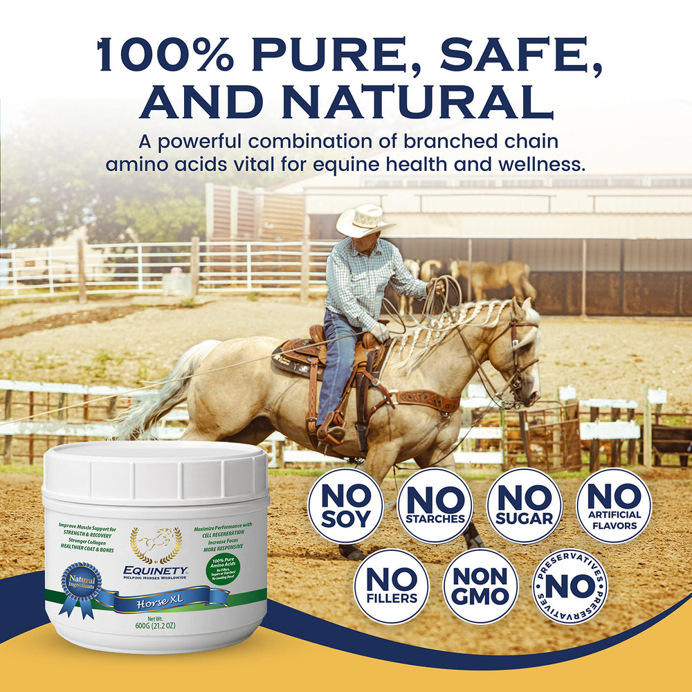 Horse in stall after feeding Equinety illustrating calmer, responsive behavior