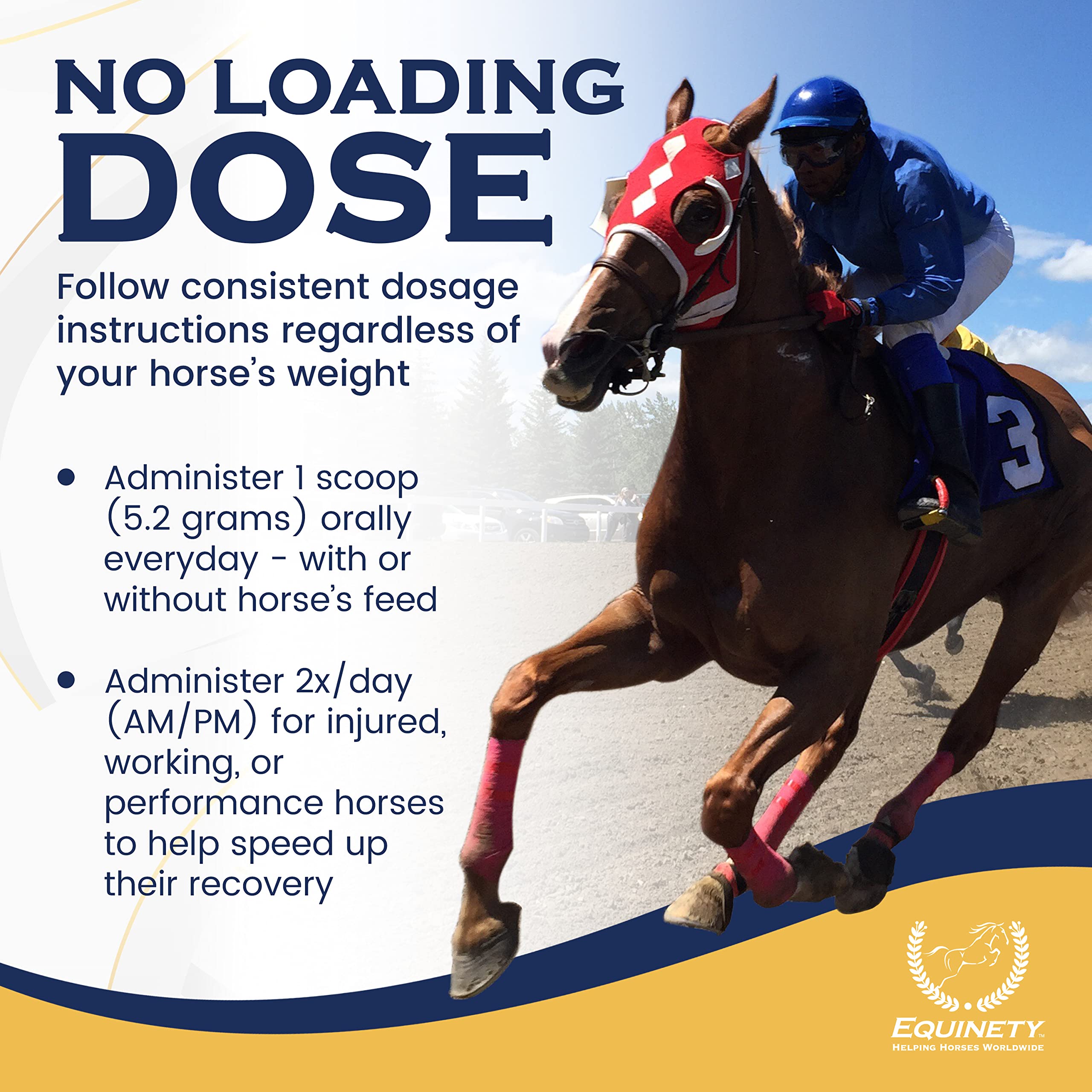 Label close-up of Equinety listing amino acids and no fillers for clarity