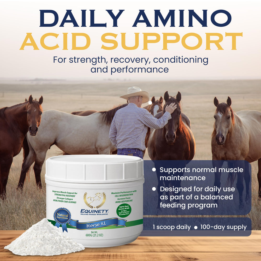 Close-up of Equinety powder texture highlighting fine mixability and purity