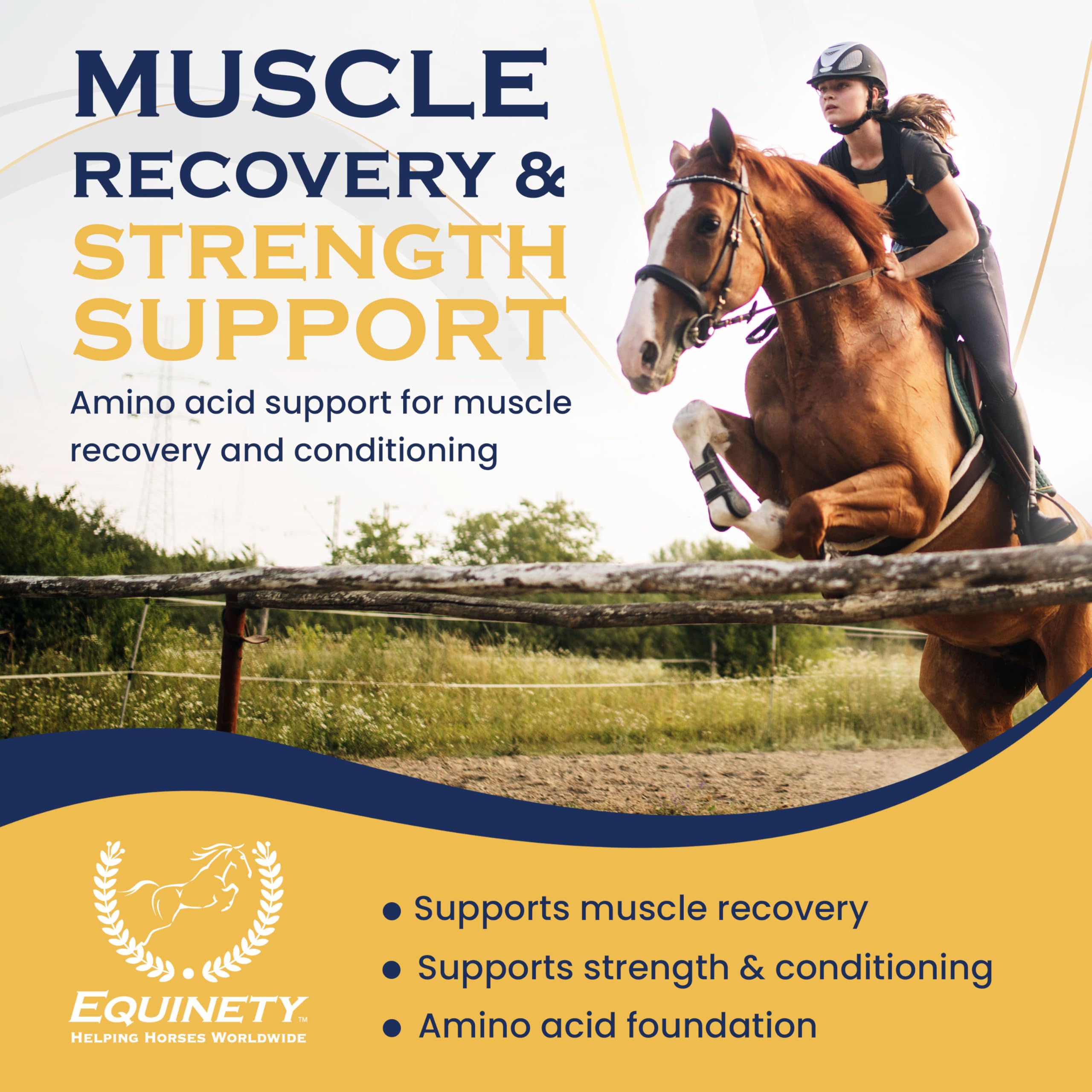 Scoop of Equinety Horse XL powder ready to measure a daily serving