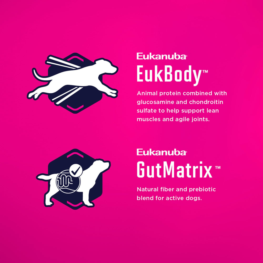 Eukanuba active small dog running to show energy support and vitality